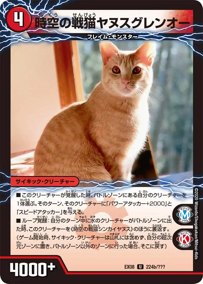 《時空の戦猫シンカイヤヌス / 時空の戦猫ヤヌスグレンオー》U【DMEX-08】[224/???]