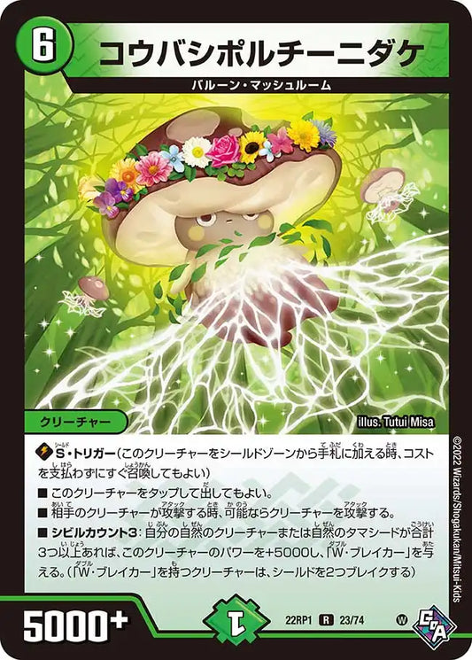 《コウバシポルチーニダケ》R【DM22-RP1】[23/74]