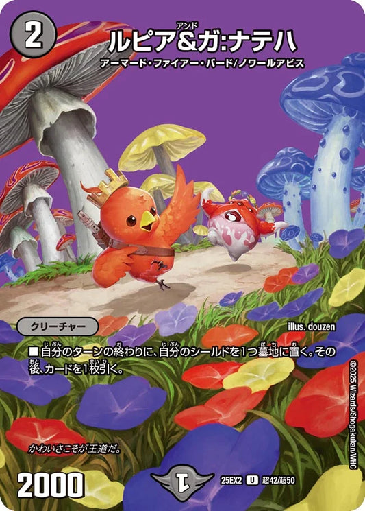 《ルピア＆ガ:ナテハ》U【DM25-EX2】[超42/超50]